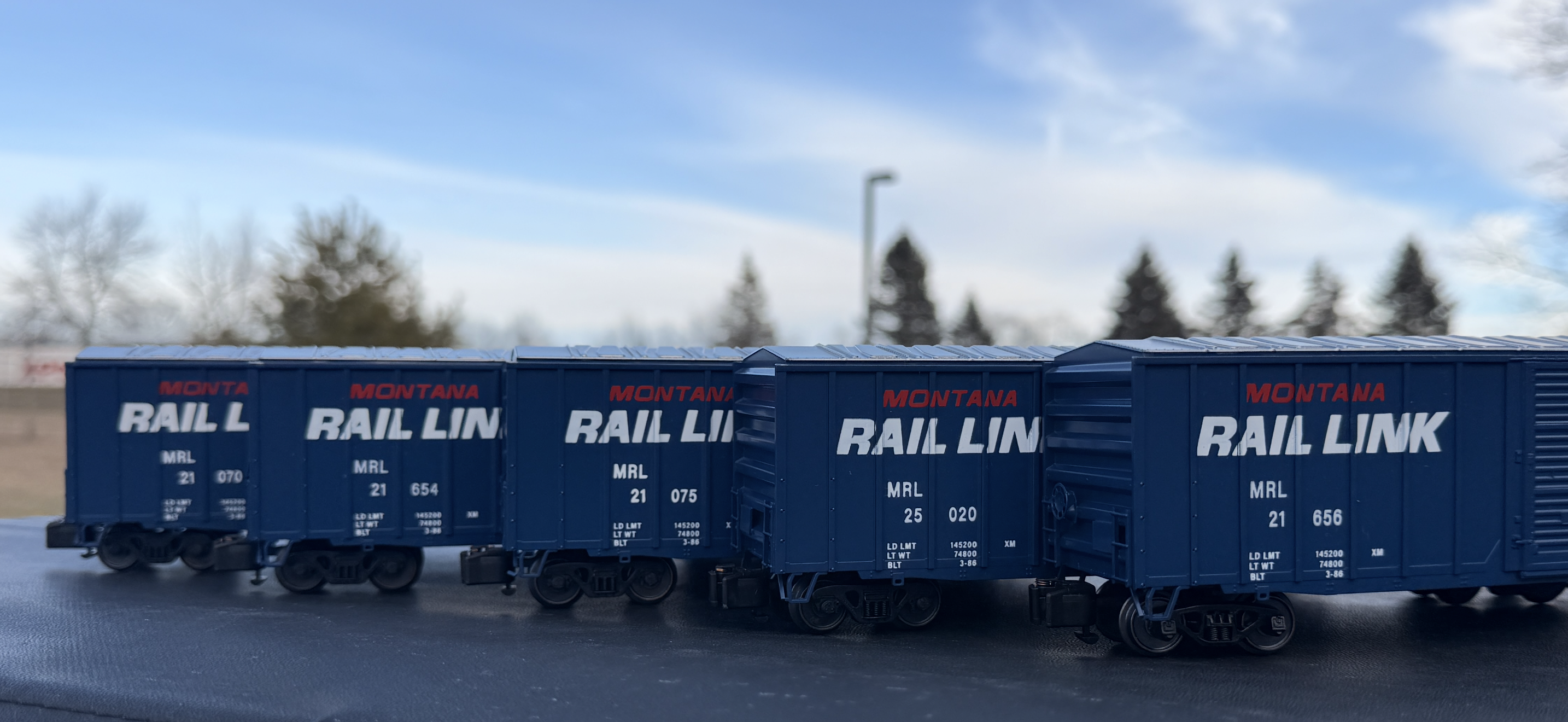 MONTANA RAIL LINK LION HEAD 1510L